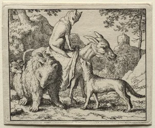 Reynard, a Raposa