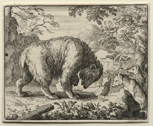 Reynard the Fox: Reynard promete mel para o urso.