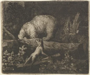 O urso com seu focinho e patas dianteiras preso no tronco de uma árvore, meados do século 17.