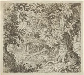 O riacho na madeira, século XVII.