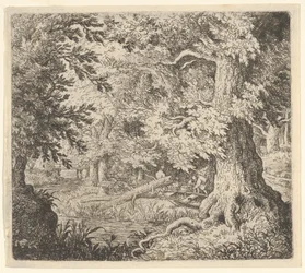 O riacho na madeira, século XVII.