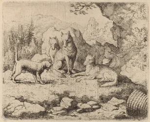 O gato enviado como mensageiro, provavelmente c. 16451656.