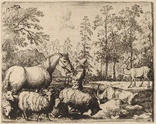 O Cavalo e o Cervo