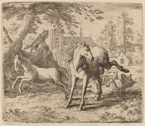 A Égua e o Lobo, provavelmente c. 16451656.