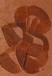 Curvas com textura terrosa