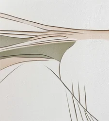 Linhas abstratas fluidas
