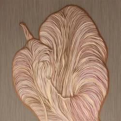 Linhas orgânicas fluidas