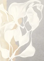 Formas Orgânicas Fluidas