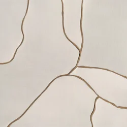 Linhas fluidas e orgânicas