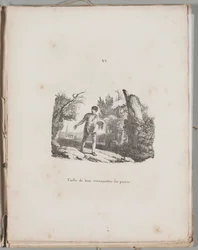 Arte da Litografia: Transferência de uma Gravura em Madeira, Placa VI