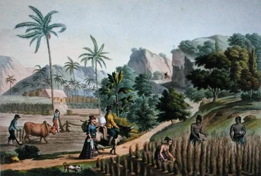 Ilha de Guam: Obras agrícolas, de 