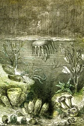 Pré-história-Terras e Mares: O início do período Siluriano (J. Rengade. Desenho de Demarle. 1885