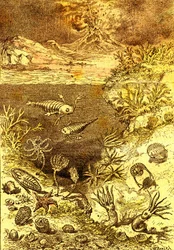 Pré-história - Fim do período Siluriano: Criação Natural e Seres Vivos (J. Rengade) Desenho de A. Demarle. 1885