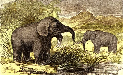 Pré-história - Período Miocénico: Da direita para a esquerda: o Dinotherum e o Mastodonte. Criação natural e seres vivos. Desenho de A. Demarle. 1885