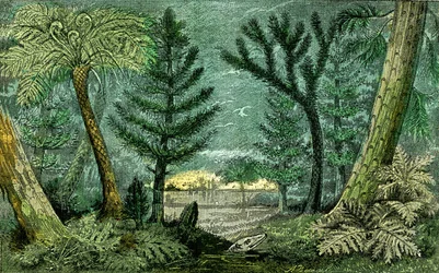 Pré-história, período do carvão: Marecagem e perfuração do período carbonífero (J. Rrengade)