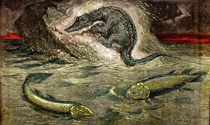 Transição dos peixes para os répteis: Proteossauro (em cima) réptil a partir de peixe, período do carvão. O Holoptychius em baixo à esquerda, e L