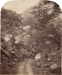 Fontainebleau, c. 1860s (foto)