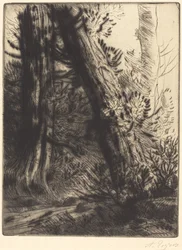 Borda de um riacho (Bord de ruisseau)
