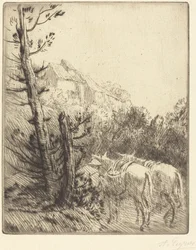 Fazenda na encosta