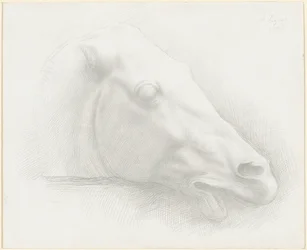 Cabeça de um cavalo do Parthenon