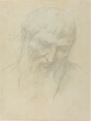 Cabeça de um homem com cabelo encaracolado e barba.
