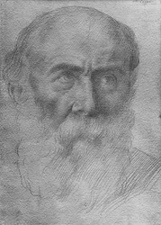 Cabeça de um homem (goldpoint no papel)