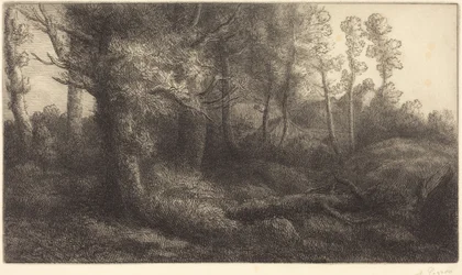 Na Floresta (Lisière de forêt)