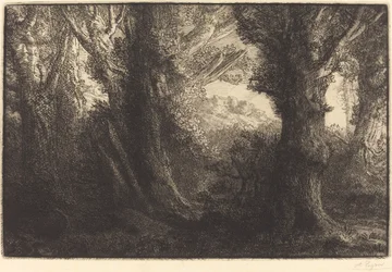 Na Floresta de Conteville (Dans la foret de Conteville)