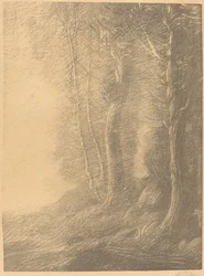 Paisagem