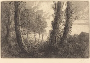 Paisagem (Paysage)