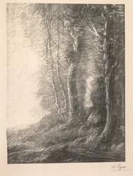 Paisagem