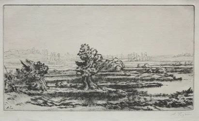 Paisagem