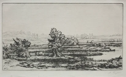 Panorama.