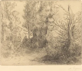 Paisagem: Perto de Chailleux