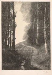 Paisagem em Bétulas