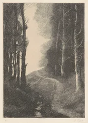 Paisagem com bétulas