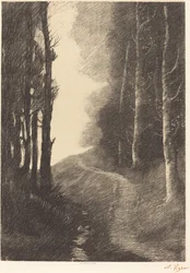 Paisagem com bétulas