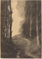 Paisagem com bétulas