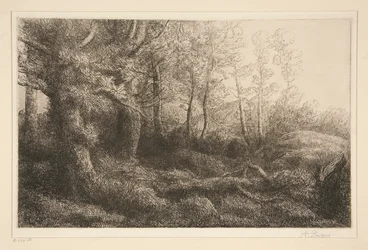 Lisiere de Foret