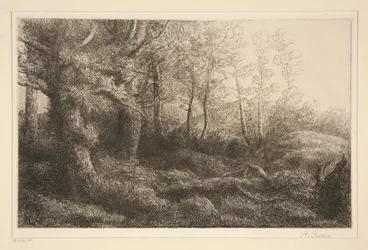 Orla da floresta