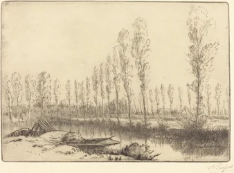 Choupos perto de Amiens Perto de Amiens, as turfeiras.
