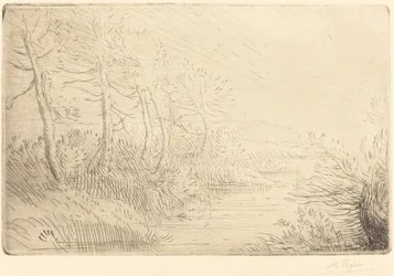 Riverbank (Bord de la riviere)