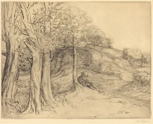 Solidão (Paisagem)