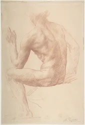 Estudo de figura