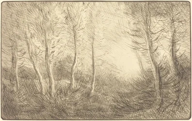 Nascer do sol, Bosques de Clamard (Lever du soleil, bois de Clamart)