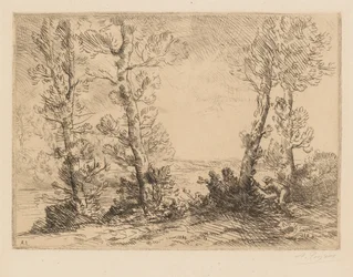 O pescador de salmão O pescador de salmão, c. 1880.