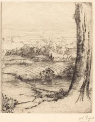 Vista de juncos (moeda de resina)