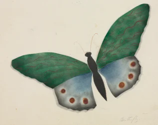 Borboleta (aguarela)