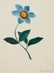 Flor estrela (aguarela)