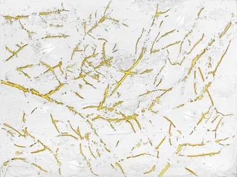 Textura Dourada Orgânica
